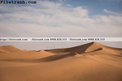 Download file gốc hinh anh phong canh sa mac yen tinh 100 (in lụa) hoa lá