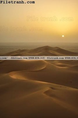 File in ấn cao cấp hinh anh phong canh sa mac yen tinh 102 (file gốc)