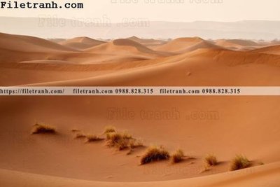 File PSD hinh anh phong canh sa mac yen tinh 159 (gốc) tách lớp chi tiết