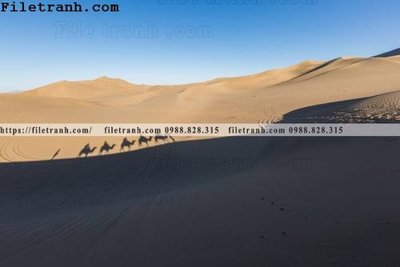 File in lụa hinh anh phong canh sa mac yen tinh 165 (tân cổ điển) hinh anh phong canh sa mac yen tinh 165