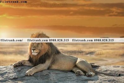 File ảnh hinh anh su tu dep 651 (gốc) in biển hiệu