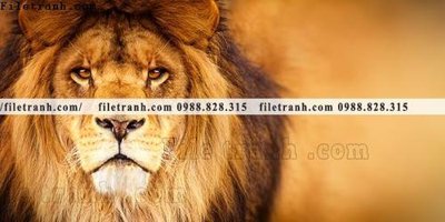 Tải file gốc hinh anh su tu dep 654 (in khổ lớn) không mờ