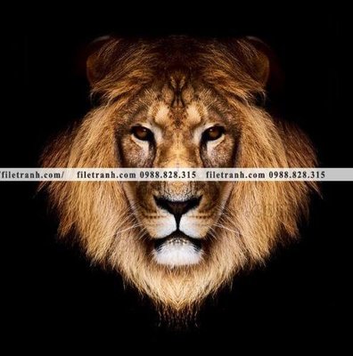 File gốc hinh anh su tu dep 655 (in mica) trang trí