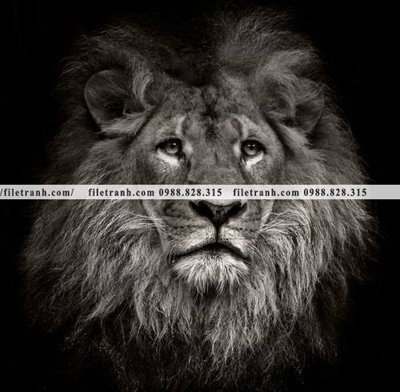 File in trần hinh anh su tu dep 657 (bản gốc) trời sao