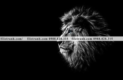 File tranh gốc hinh anh su tu dep 669 (sắc nét từng chi tiết)