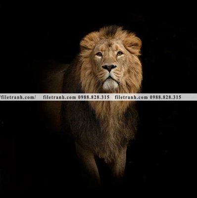 Chi tiết file gốc hinh anh su tu dep 674 (cho in tráng gương)