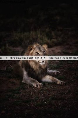 Hình ảnh file gốc in lụa hinh anh su tu dep 681