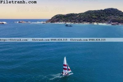 File in trần hinh anh thuyen buom tren bien 100 (bản gốc) đại dương