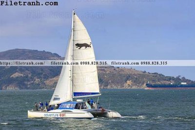 File ảnh hinh anh thuyen buom tren bien 141 (gốc) in decal dán tường