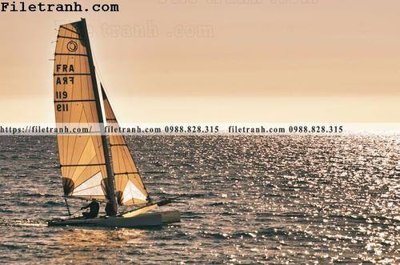 Hình ảnh file gốc in trần nhà hinh anh thuyen buom tren bien 156