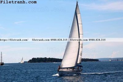 Tải file hinh anh thuyen buom tren bien 166 (gốc) làm tranh treo tường