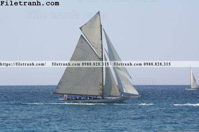 File in trần hinh anh thuyen buom tren bien 178 (bản gốc) 5D