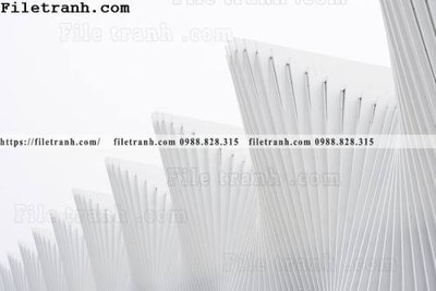 Tải file hinh anh toa nha den trang 148 (ảnh gốc) in tráng gương