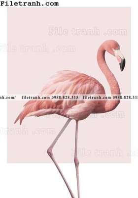 Mua file gốc hoa dep theo phong cach Bac Au 113 (PSD) tại Filetranh.com