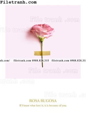 File gốc hoa dep theo phong cach Bac Au 143 (chuẩn CMYK) cho nhà in