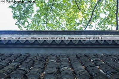 Tải file mai hien cua toa nha co 126 (gốc) in ấn ngay lập tức