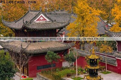 File in trần mai hien cua toa nha co 130 (bản gốc) đại dương