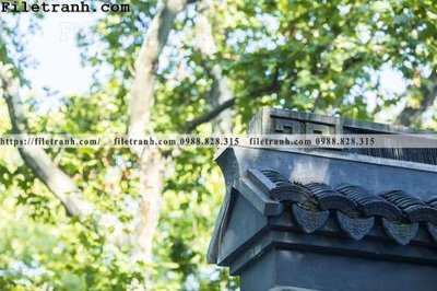 File tranh in trần 3D mai hien cua toa nha co 143 (ảnh gốc)