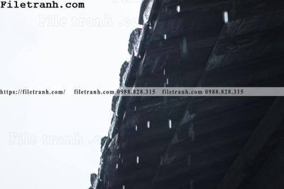 File in trần mai hien cua toa nha co 188 (bản gốc) trời sao