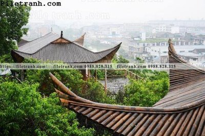 File in trần mai hien cua toa nha co 205 (bản gốc) trời sao