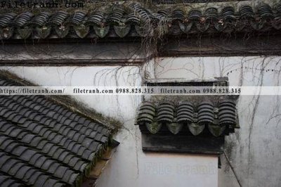 File gốc mai hien cua toa nha co 206 (PNG) chất lượng cao