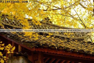 File tranh gốc mai hien cua toa nha co 235 (bản quyền) file PSD