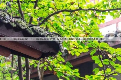 Tệp tin gốc mai hien cua toa nha co 302 (dùng cho in) mai hien cua toa nha co 302