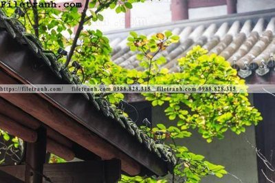 Tải file gốc mai hien cua toa nha co 305 (bản PSD) gốc