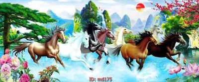 File in mica File mã đáo thành công MD175 (ảnh gốc) đẹp