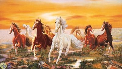 File PSD File mã đáo thành công MD196 (chất lượng in ấn)