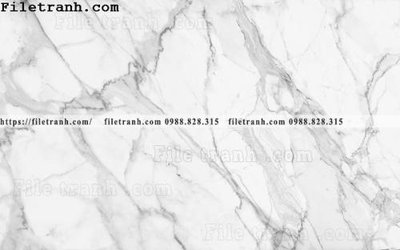 File in lụa nen van da cam thach 107 (tân cổ điển) nen van da cam thach 107