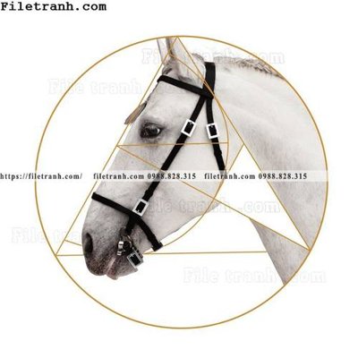 File gốc ngua trang tron don gian hien dai 100 (in lụa) chi tiết cao