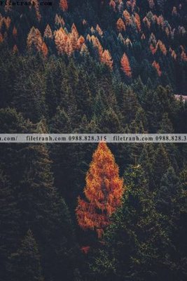 Tải file nhung buc tranh phong canh doc 511 (PSD) cho in tranh 3D