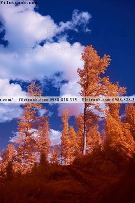 Tải file gốc nhung buc tranh phong canh doc 572 (để in lụa)