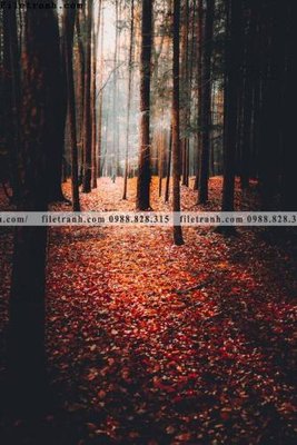 Tải file gốc nhung buc tranh phong canh doc 582 (bản PSD) còn layer