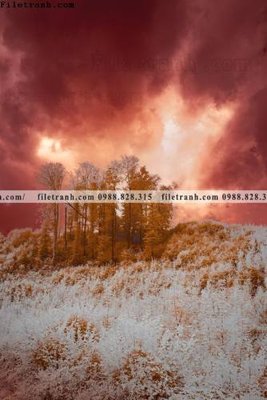 Hình ảnh file gốc in trần nhà nhung buc tranh phong canh doc 596