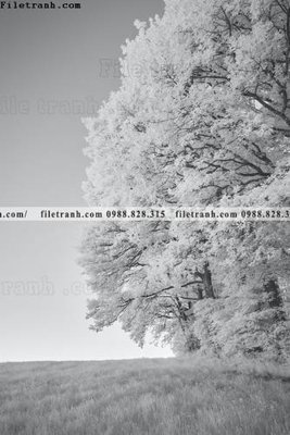 File tranh gốc nhung buc tranh phong canh doc 597 (sắc nét từng chi tiết)