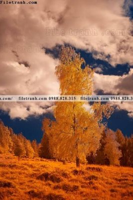 Hình ảnh file gốc nhung buc tranh phong canh doc 602 (chất lượng cao)