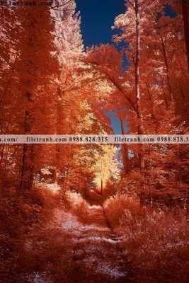 File gốc nhung buc tranh phong canh doc 616 (in ấn) không giới hạn