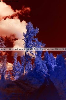 Download file nhung buc tranh phong canh doc 623 (gốc) in mica ốp bếp