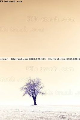 Tải file nhung buc tranh phong canh doc 626 (ảnh gốc) độ phân giải 300dpi