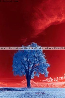 File in trần nhung buc tranh phong canh doc 629 (bản gốc) hoa văn