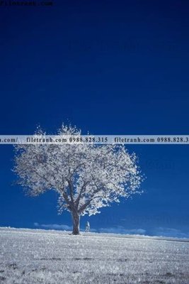 File gốc nhung buc tranh phong canh doc 638 (in 3D) nghệ thuật