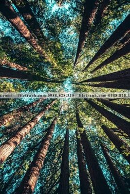 Tải file nhung buc tranh phong canh doc 686 (ảnh gốc) in gạch 3D