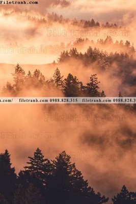 File ảnh gốc nhung buc tranh phong canh doc 699 không vỡ nét