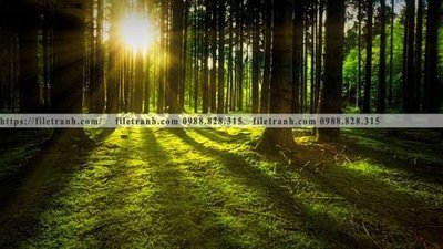 File ảnh nhung buc tranh phong canh ngang 524 (gốc) in PP, decal