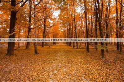 File gốc nhung buc tranh phong canh ngang 530 (thiết kế) cho in ấn