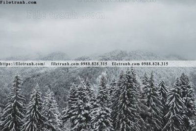 File in ấn nhung buc tranh phong canh ngang 547 (bản gốc) từ file gốc