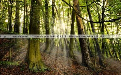 Tải file nhung buc tranh phong canh ngang 565 (gốc) in ấn ngay lập tức