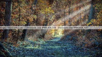 Tải file gốc nhung buc tranh phong canh ngang 566 (in khổ lớn) quảng cáo